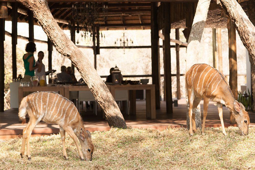 Moditlo River Lodge Ходспруит Екстериор снимка